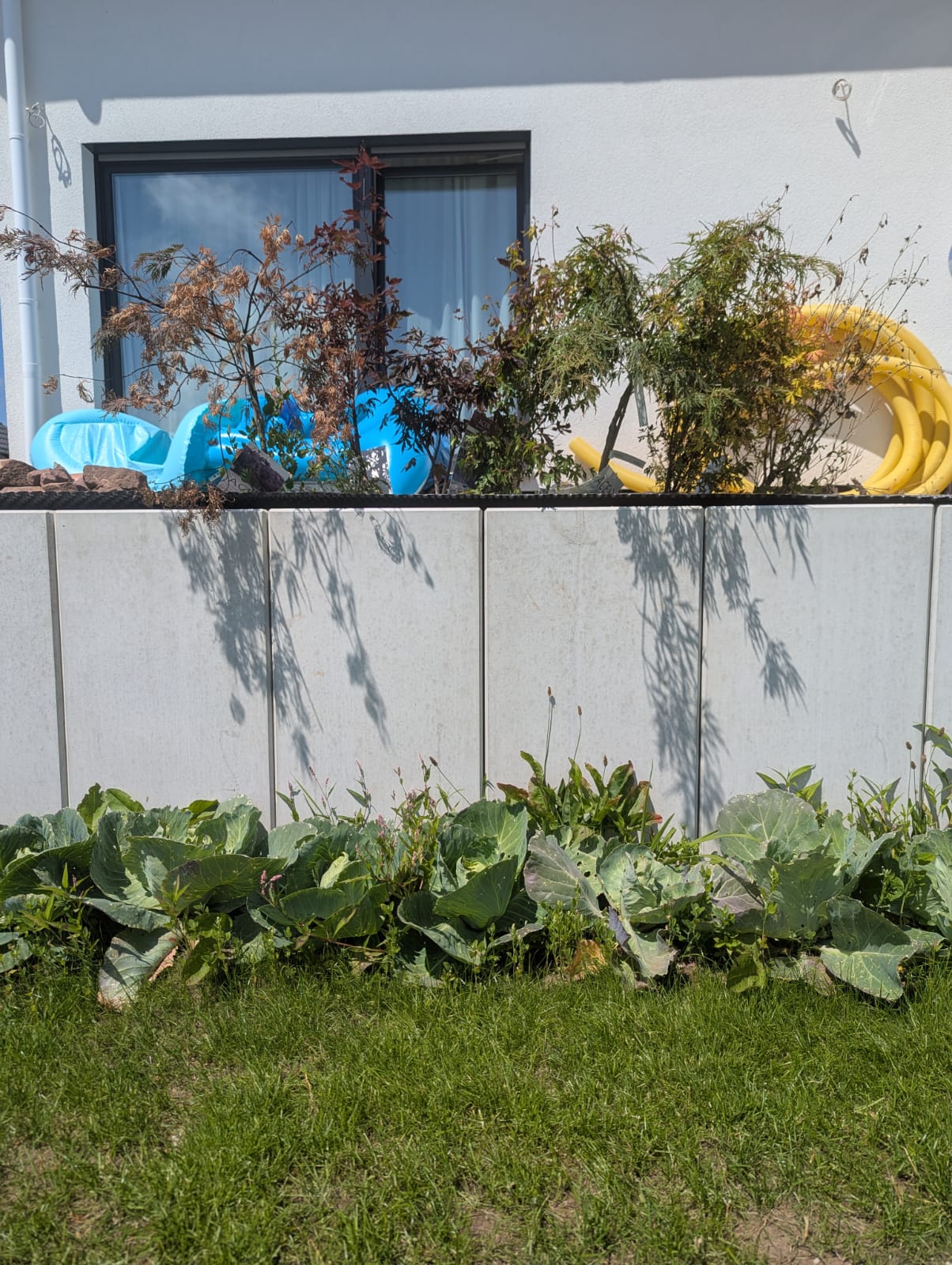 Natursteinmauern